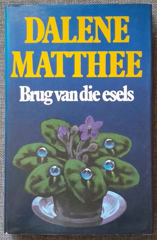 Brug van Esels - Dalene Matthee (1992 First edition Hardcover)