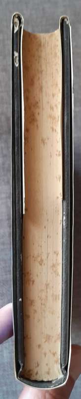Brug van Esels - Dalene Matthee (1992 First edition Hardcover)