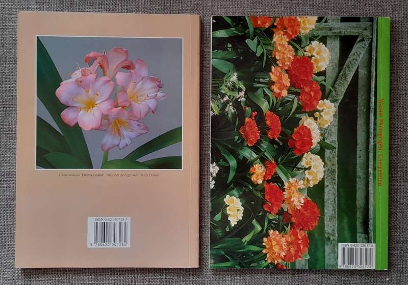 Clivia 5 & 6