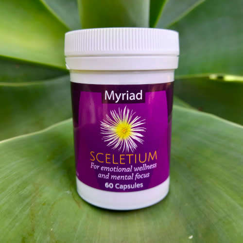 Sceletium Tortuosum 60 Capsules