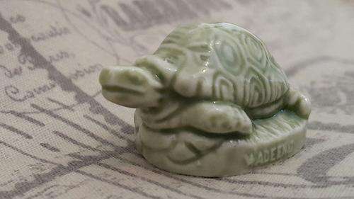Green tortoise wade