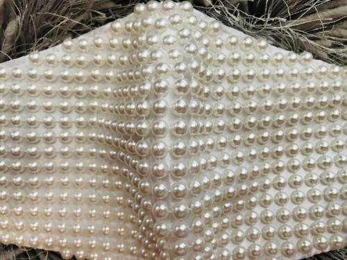 Designer Pearl Face Mask