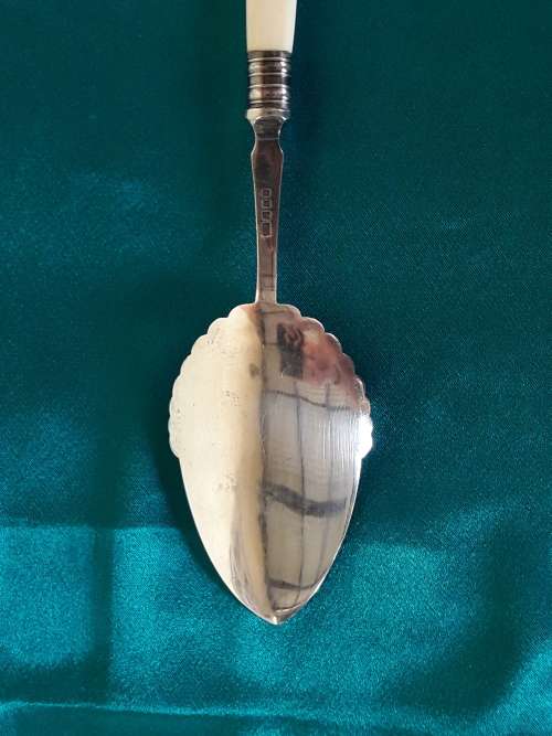 A stunning bone handle utensil