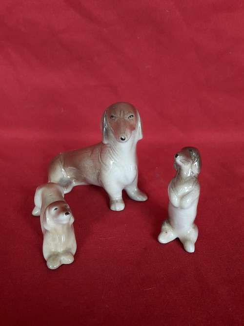 A cute ornamental dog set