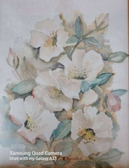 A signed watercolor painting in a decorative frame