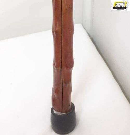 Walking Stick - Cane
