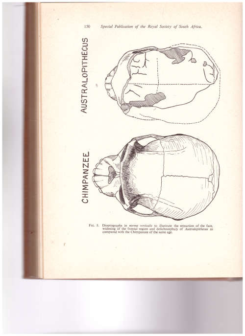 SPECIAL PUBLICATION OF THE ROYAL SOCIETY OF SOUTH AFRICA: ROBERT BROOM COMMEMORATIVE VOLUME 1948