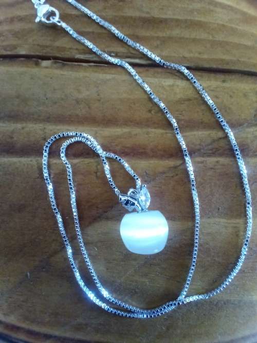 Beautiful Pendant and Chain - Wow!!
