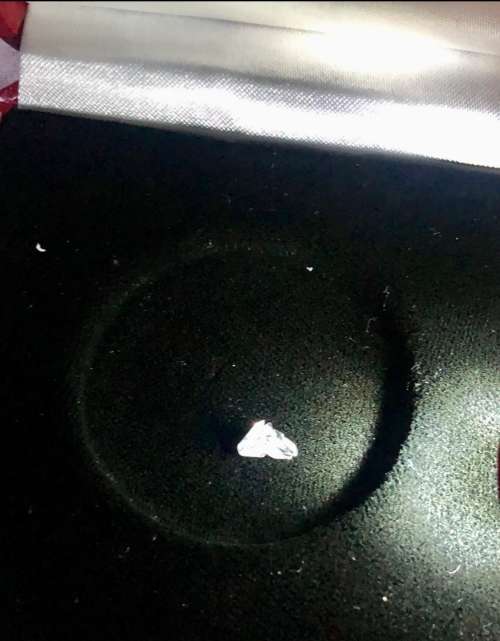 Most Rare Cut Horse Head Diamond 0.41ct Amazing Investment