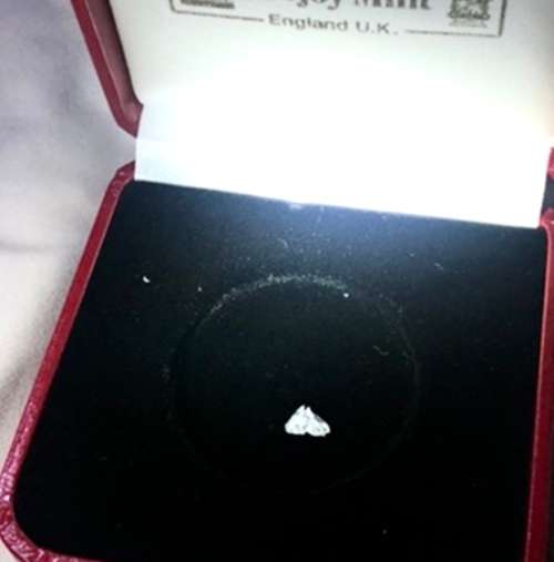 Most Rare Cut Horse Head Diamond 0.41ct Amazing Investment