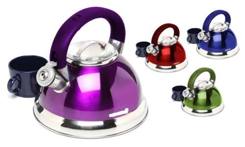 3.0 Litre Stylish Stainless Steel Whistling kettles