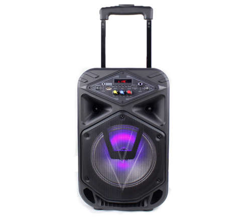 MP3 Bluetooth Speaker with built in trolley AND Microphone
