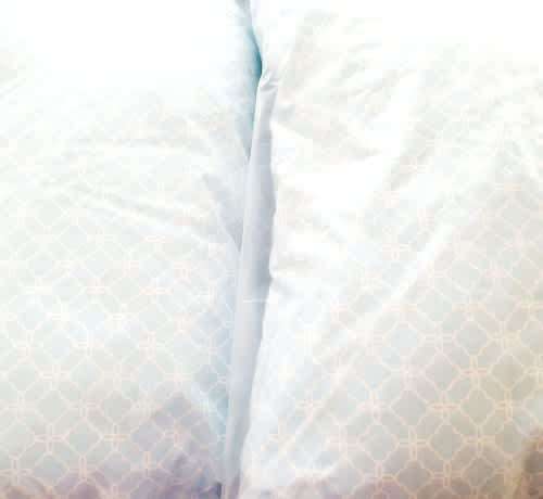 DOUBLE DEAL - Printed Polycotton Standard Pillows X 2