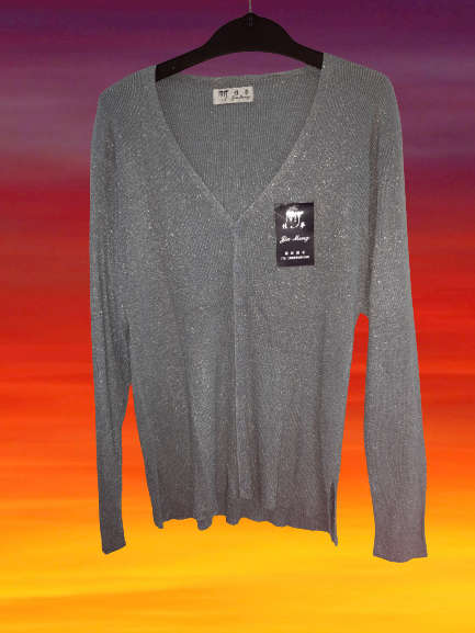 Ladies Silver glitter button up jersey