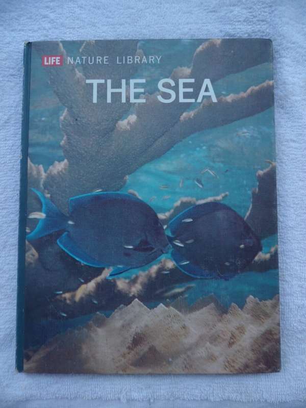 The Sea - by Leonard Engel & Editors of LIFE