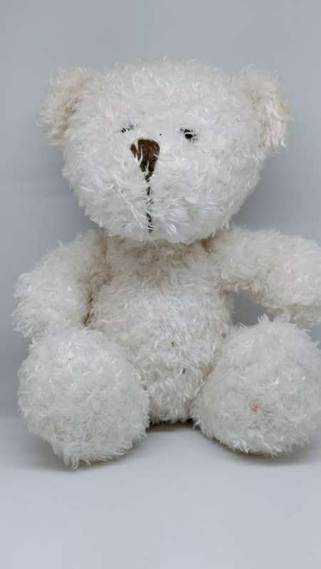 Soft Toy Plush - Teddy Bear