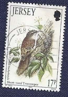 Jersey.1993.Birds:  Short-toed Treecreeper