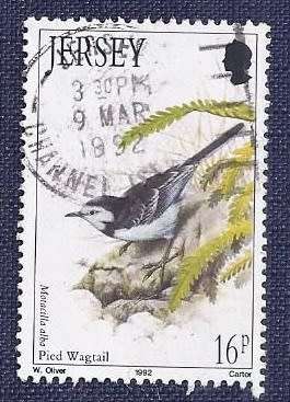 Jersey.1992.Pied Wagtail