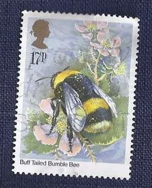 Britain.1985.Insects  17p  Buff-tailed Bumblebee