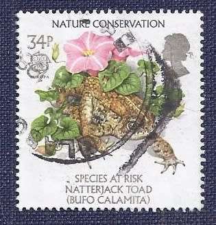 Britain.1986.Nature Conservation  Natterjack Toad 34P