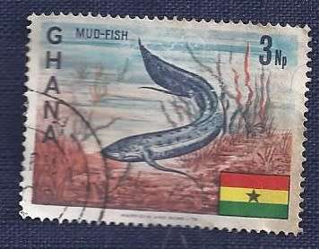 Ghana.1967.National Symbols  3NP  African Lungfish