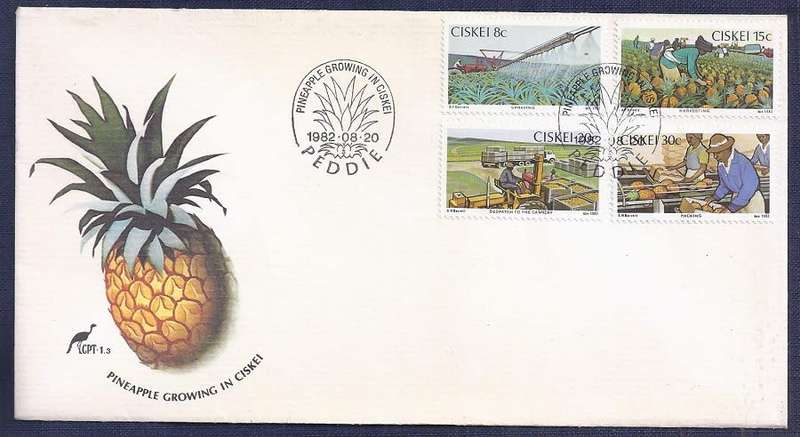 Ciskei .1982.Pineapple Industry