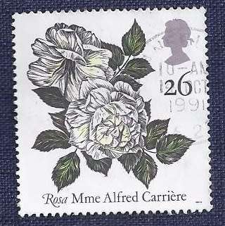 Britain.1991.Roses  26p  `Rosa` Mme Alfred Carrière