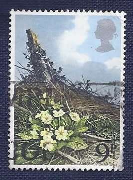 Britain.1979.British Wild Flowers  9p   Primroses