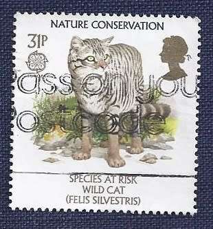 Britain.1986.Nature Conservation   Wildcat   31p