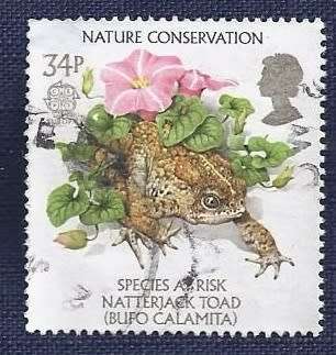 Britain.1986.Nature Conservation  Natterjack Toad 34P