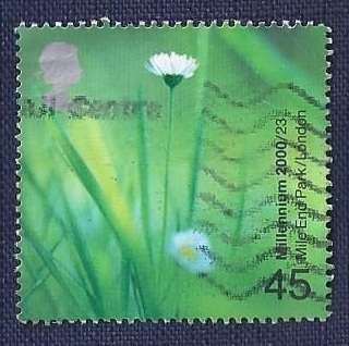 Britain.2000.People and Places 45p    Daisies (Mile End Park, London)