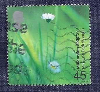 Britain.2000.People and Places 45p    Daisies (Mile End Park, London)