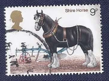 Britain.1978.British Horses  9p   Shire Horse