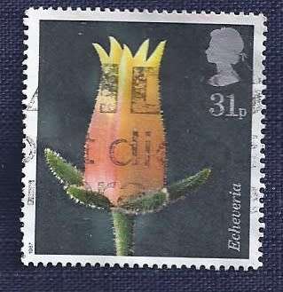 Britain.1987.Flowers  31p   Echeveria