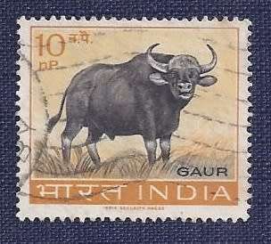 India.1963.Wildlife Conservation  Full set of 5