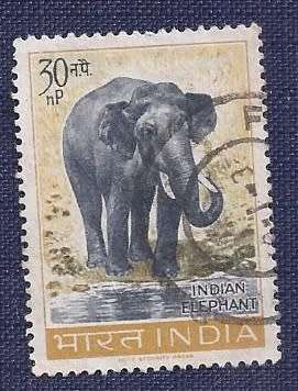 India.1963.Wildlife Conservation  Full set of 5