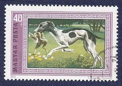 Hungary.1972.Dogs   Full set of 7