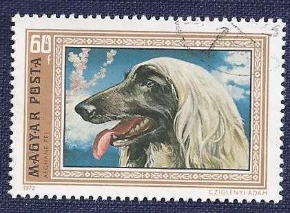 Hungary.1972.Dogs   Full set of 7