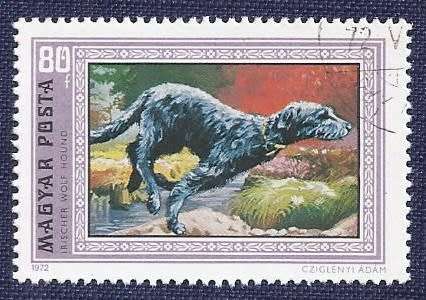 Hungary.1972.Dogs   Full set of 7