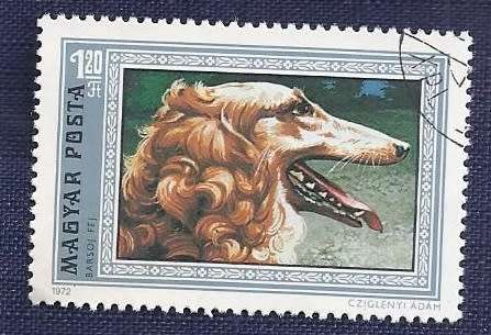 Hungary.1972.Dogs   Full set of 7