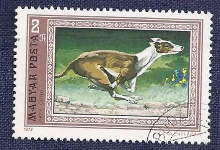 Hungary.1972.Dogs   Full set of 7