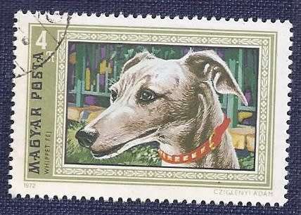 Hungary.1972.Dogs   Full set of 7
