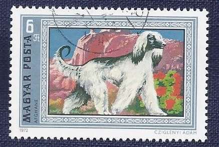 Hungary.1972.Dogs   Full set of 7