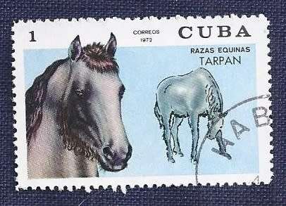 Cuba .1972 .Thoroughbred Horses    full set of 7