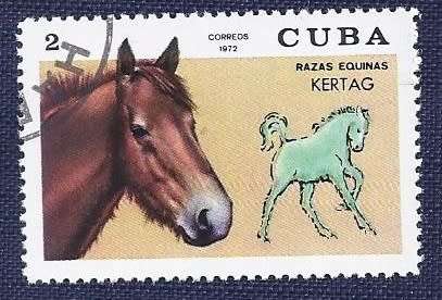 Cuba .1972 .Thoroughbred Horses    full set of 7