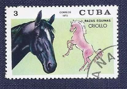 Cuba .1972 .Thoroughbred Horses    full set of 7