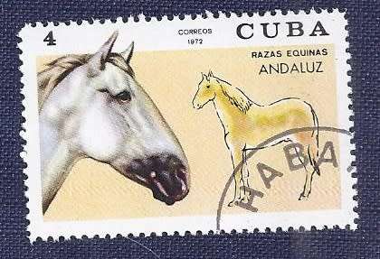 Cuba .1972 .Thoroughbred Horses    full set of 7