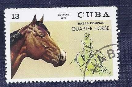 Cuba .1972 .Thoroughbred Horses    full set of 7