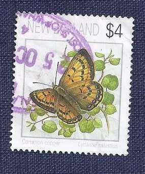 New Zealand.1995 .Butterflies  $4    Common Copper