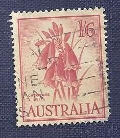 Australia.1959 . Flowers  1`6    Christmas Bells